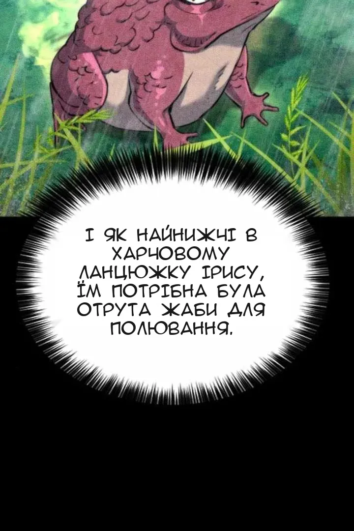 Сторінка 14