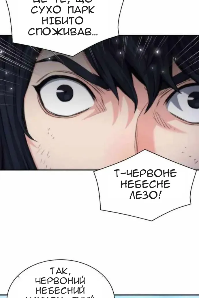 Сторінка 8