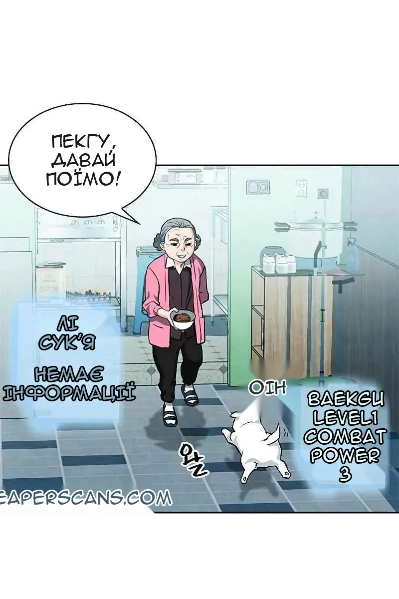 Сторінка 19