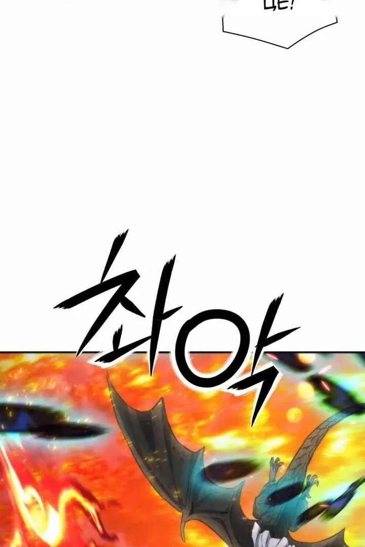 Сторінка 31