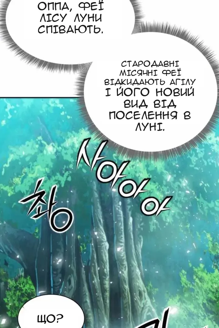 Сторінка 29