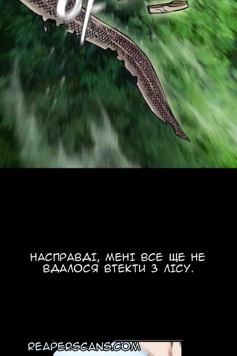 Сторінка 31