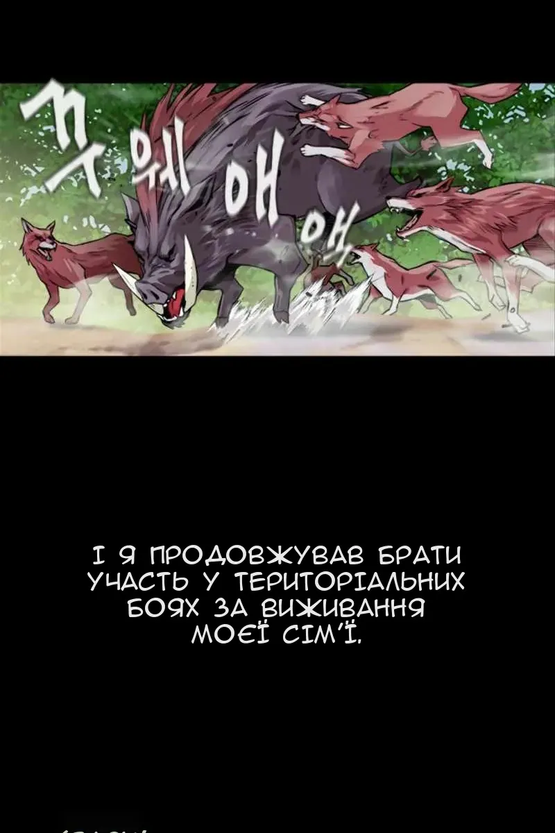 Сторінка 35