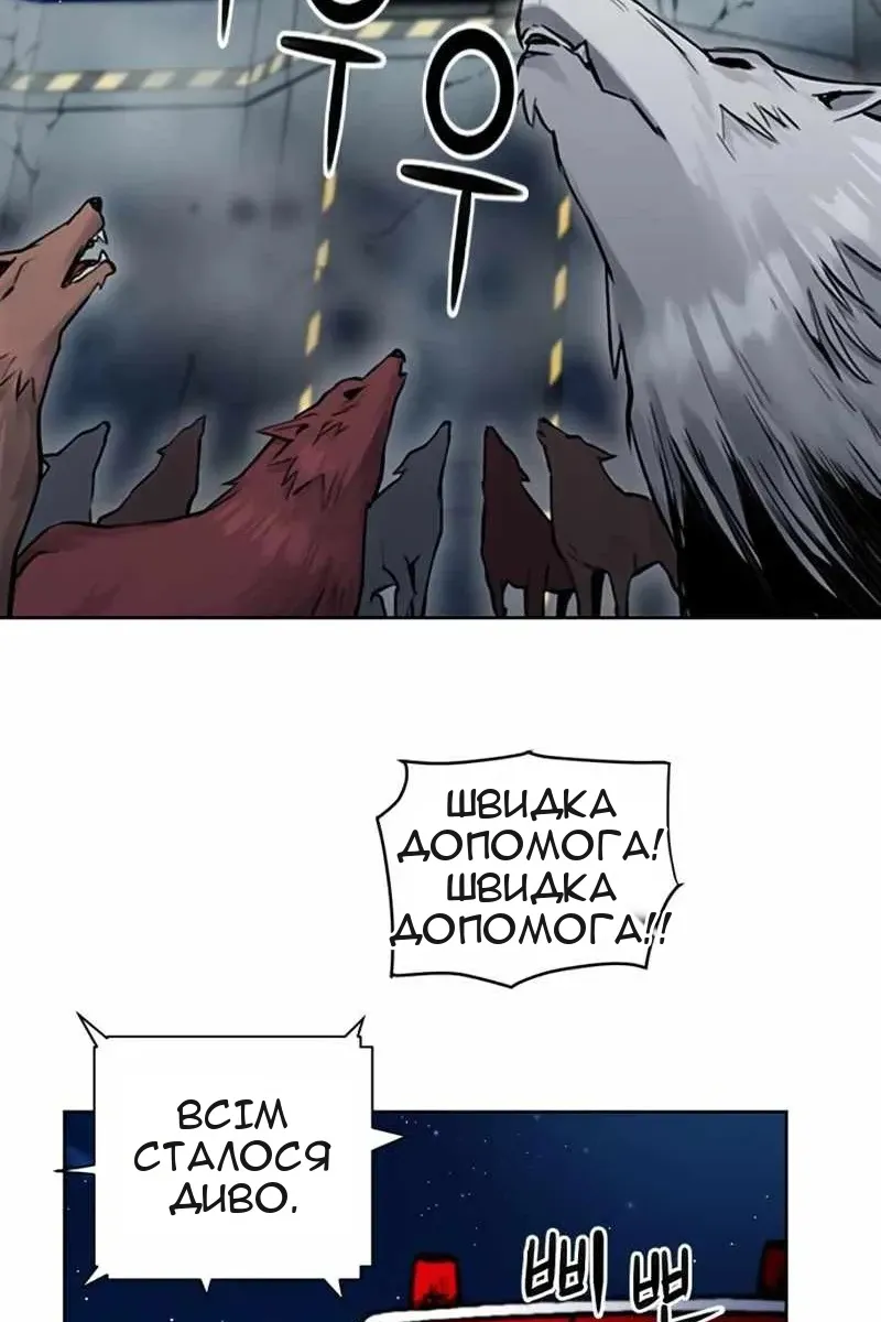 Сторінка 71