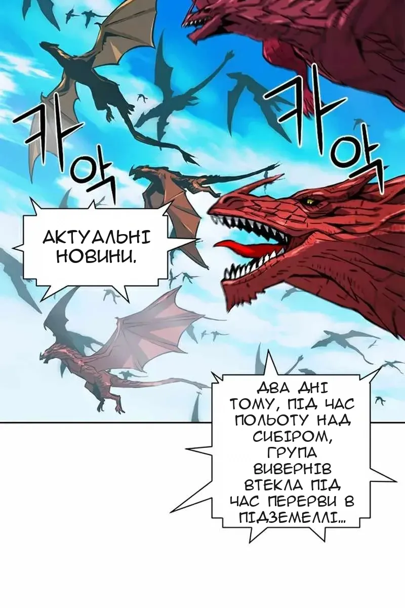 Сторінка 113