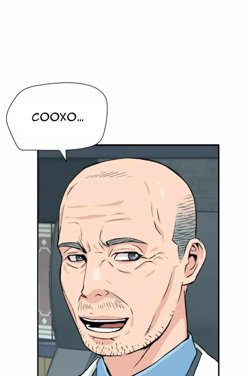 Сторінка 17