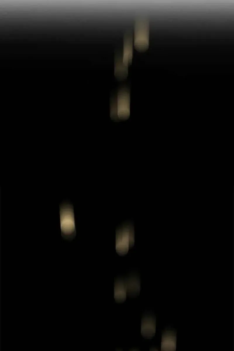 Сторінка 11