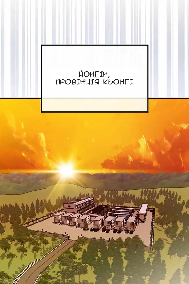 Сторінка 111