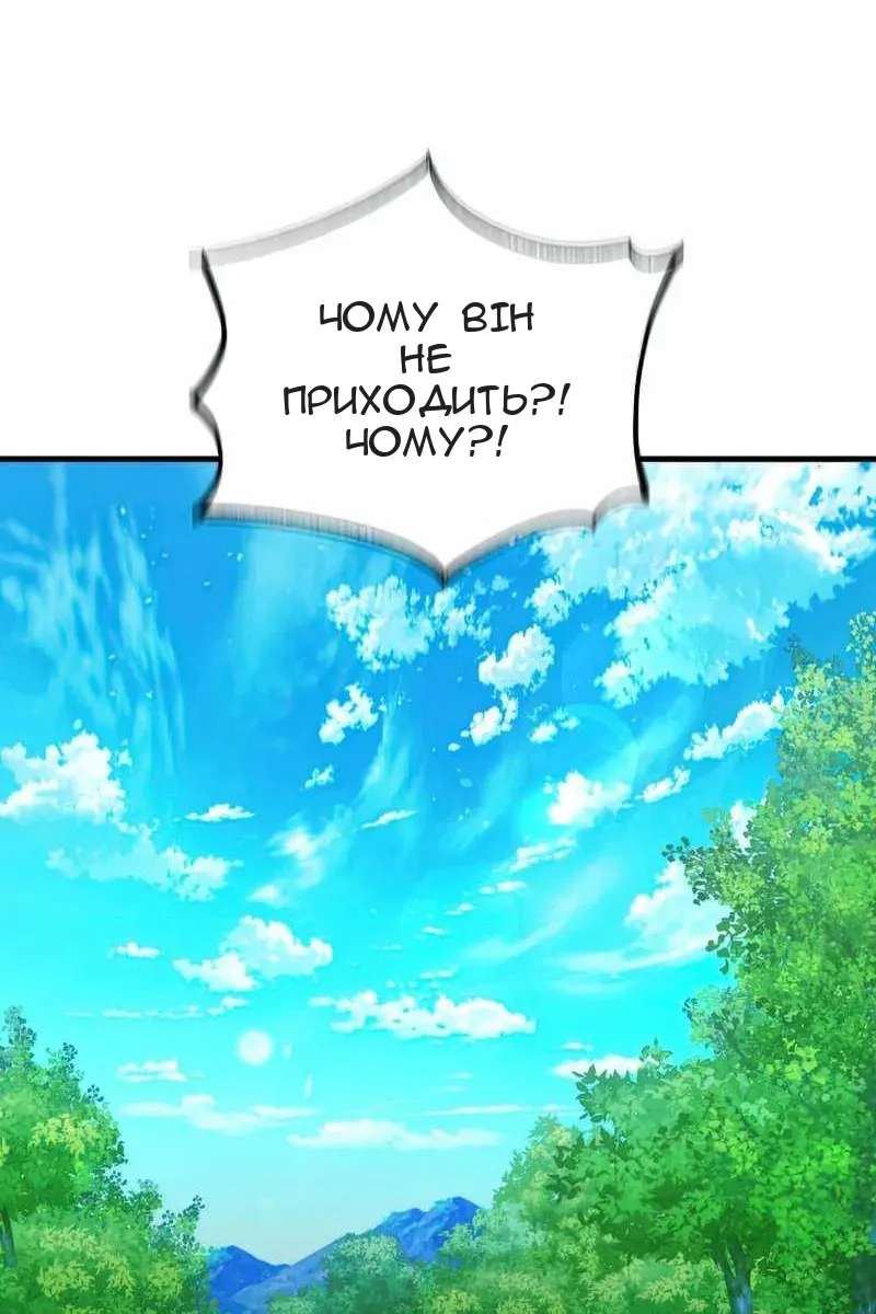 Сторінка 29