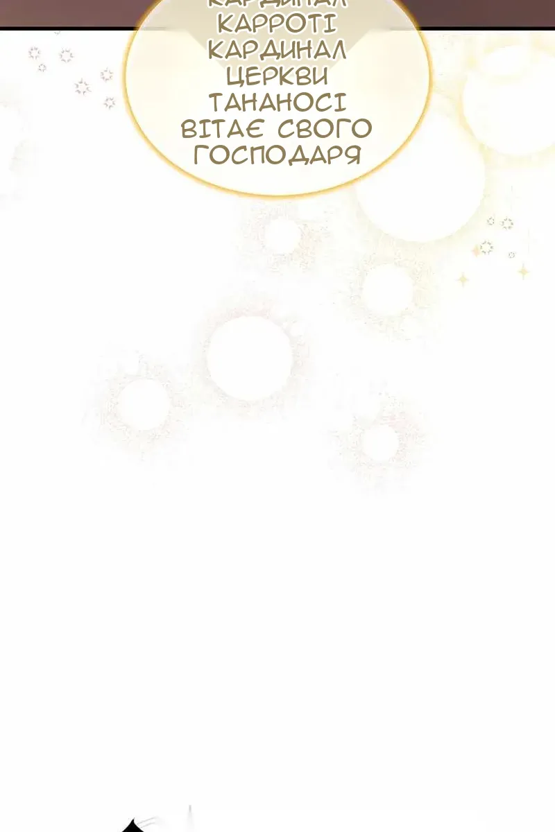 Сторінка 29