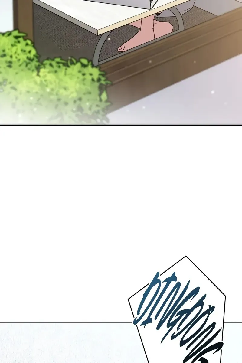 Сторінка 8