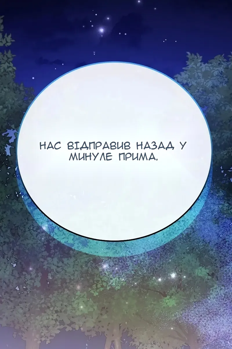 Сторінка 117