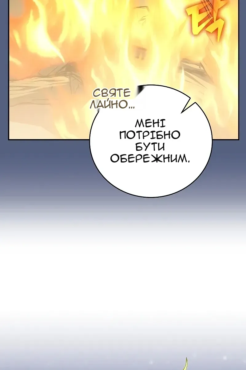 Сторінка 17