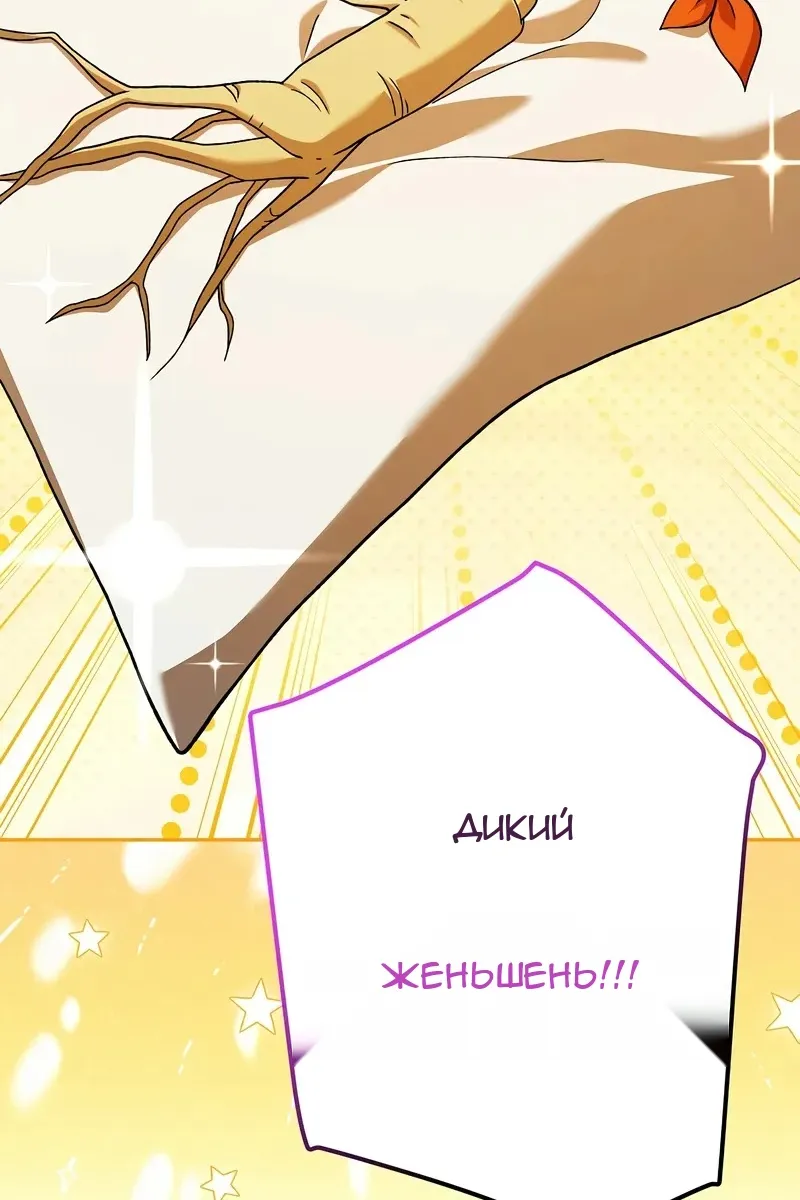 Сторінка 46