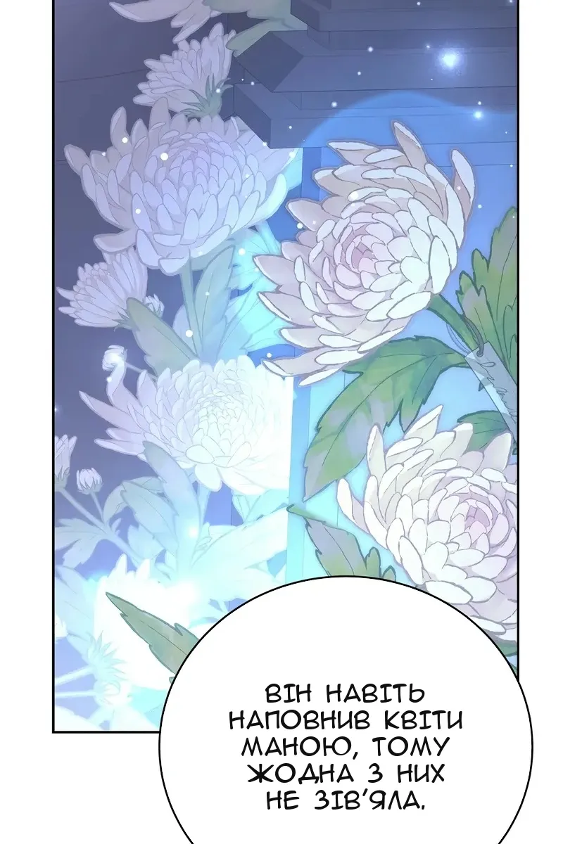 Сторінка 38