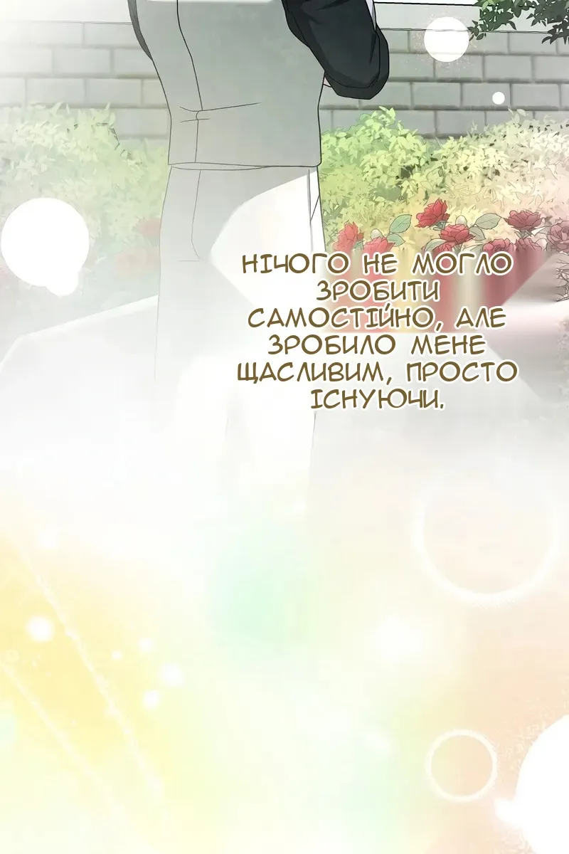 Сторінка 115