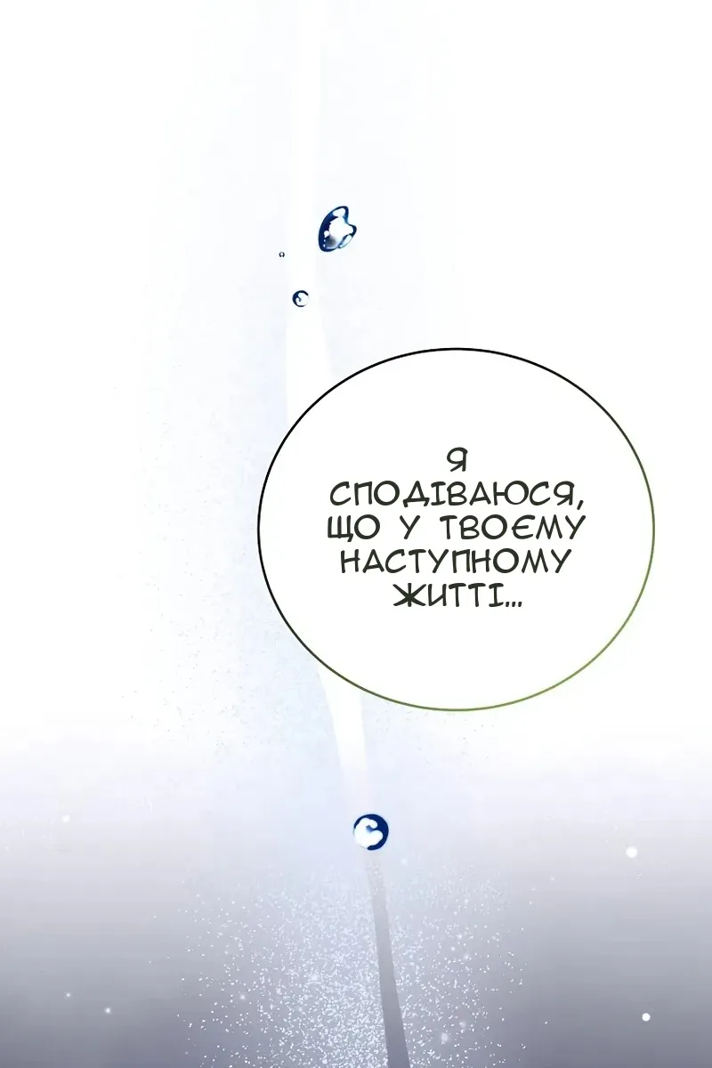Сторінка 71
