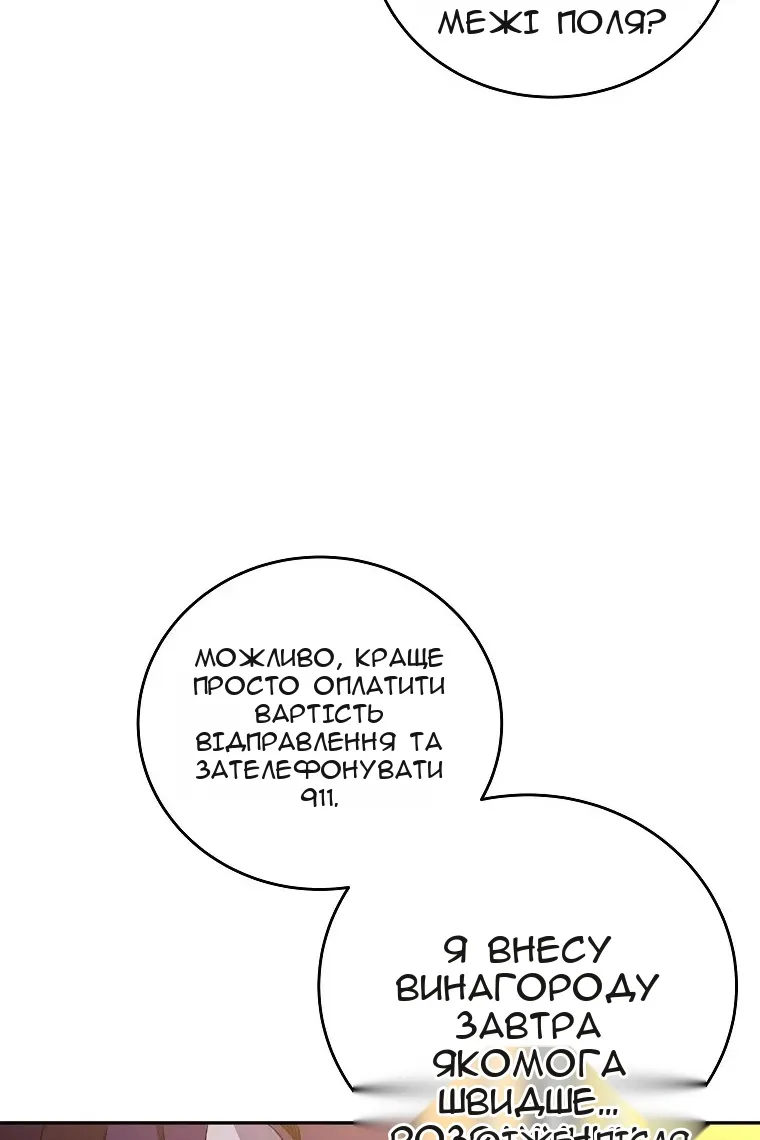 Сторінка 17