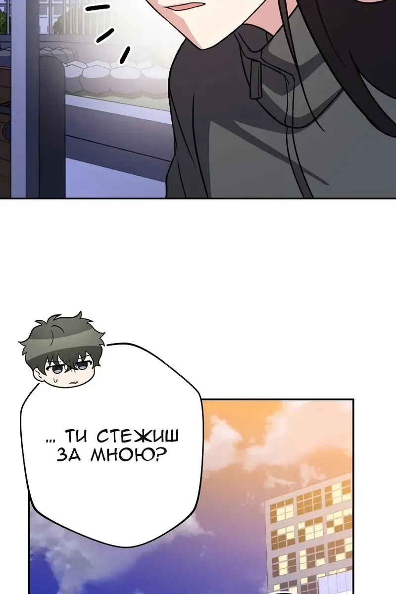Сторінка 17