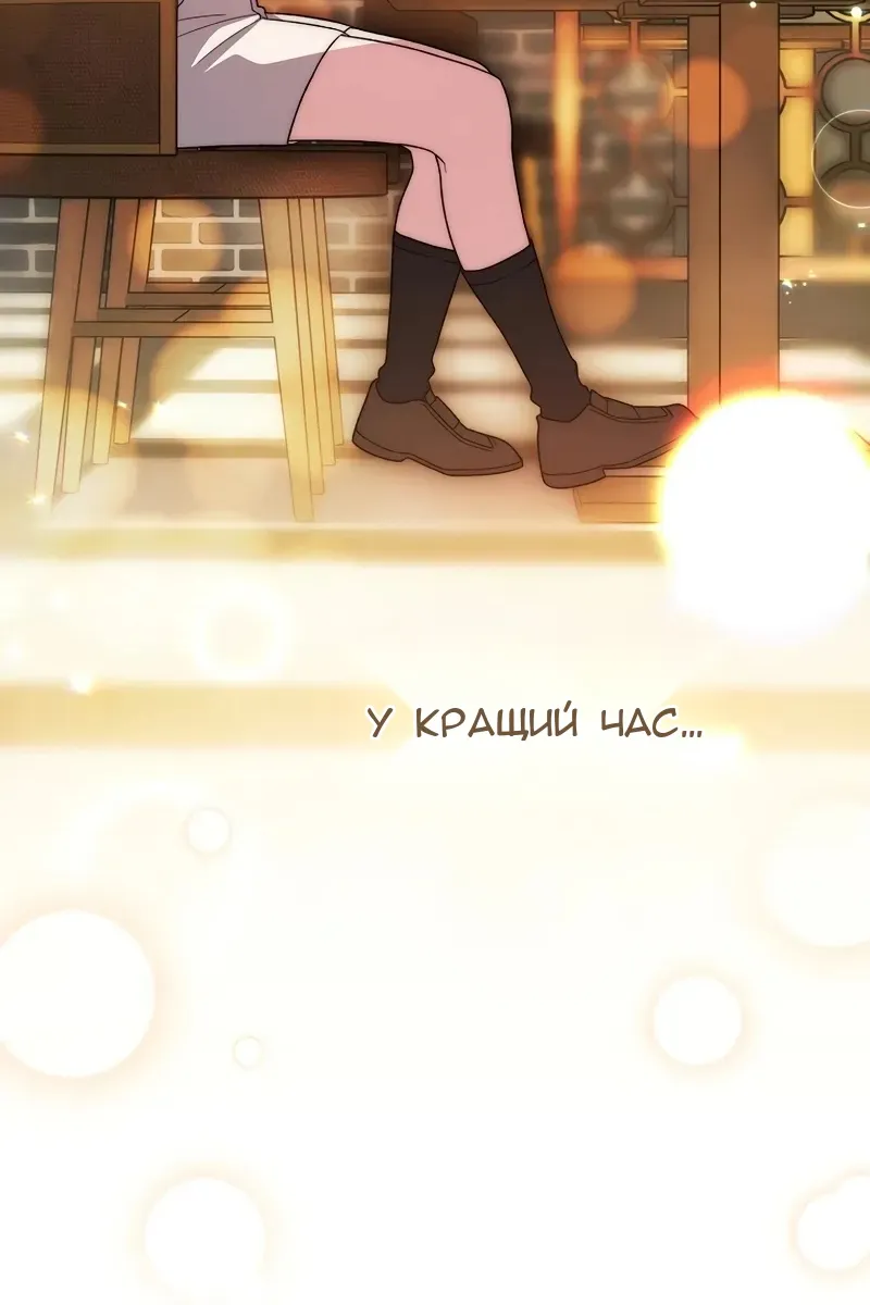 Сторінка 17