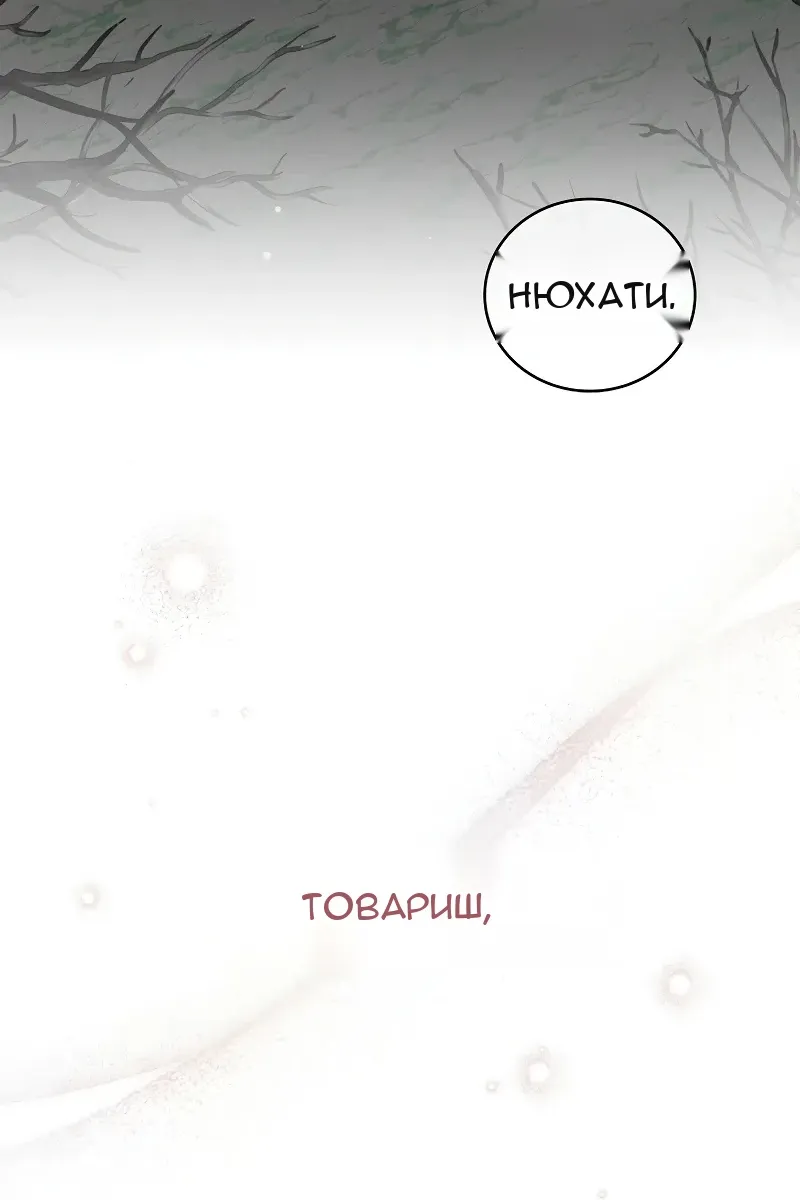 Сторінка 34