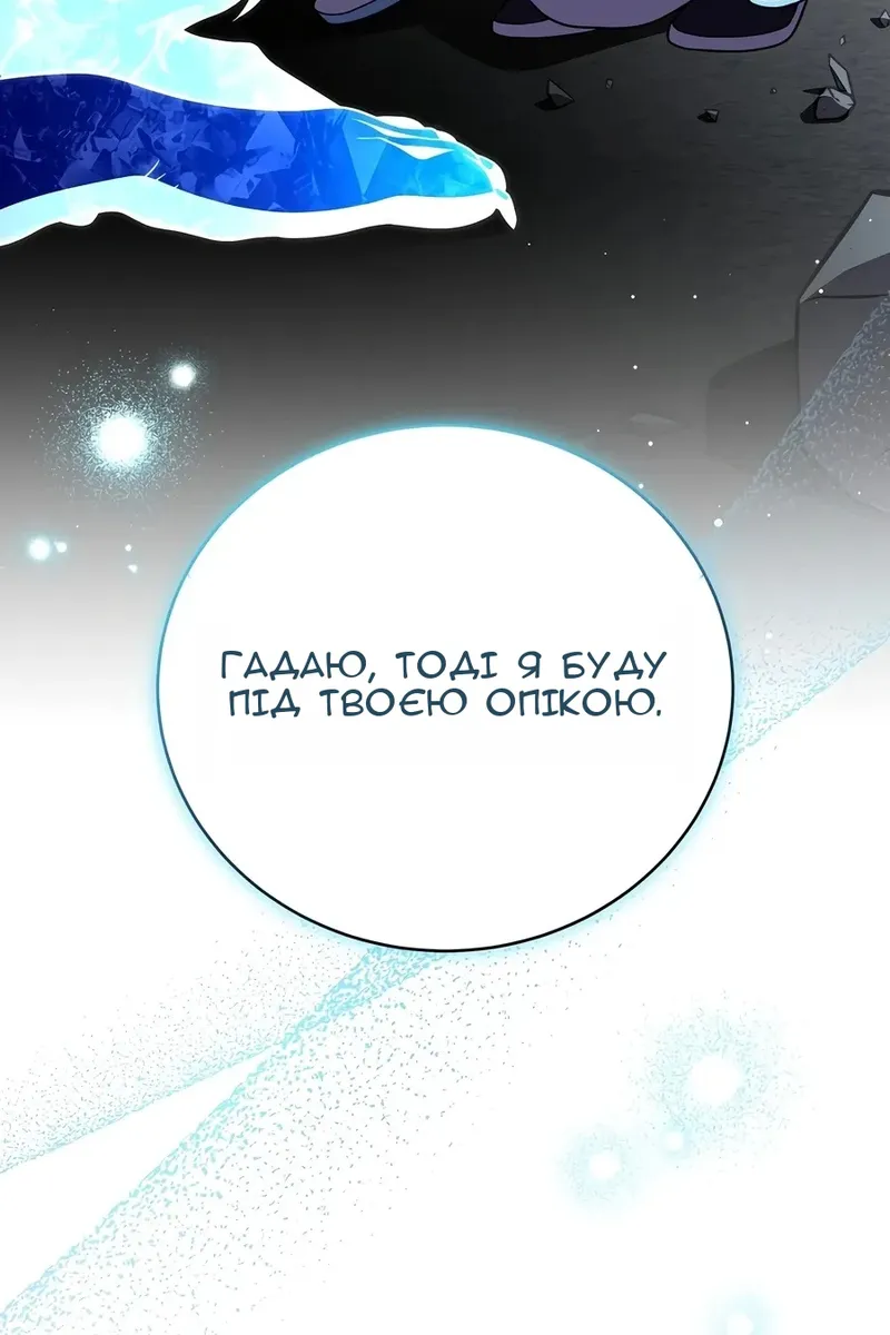 Сторінка 47
