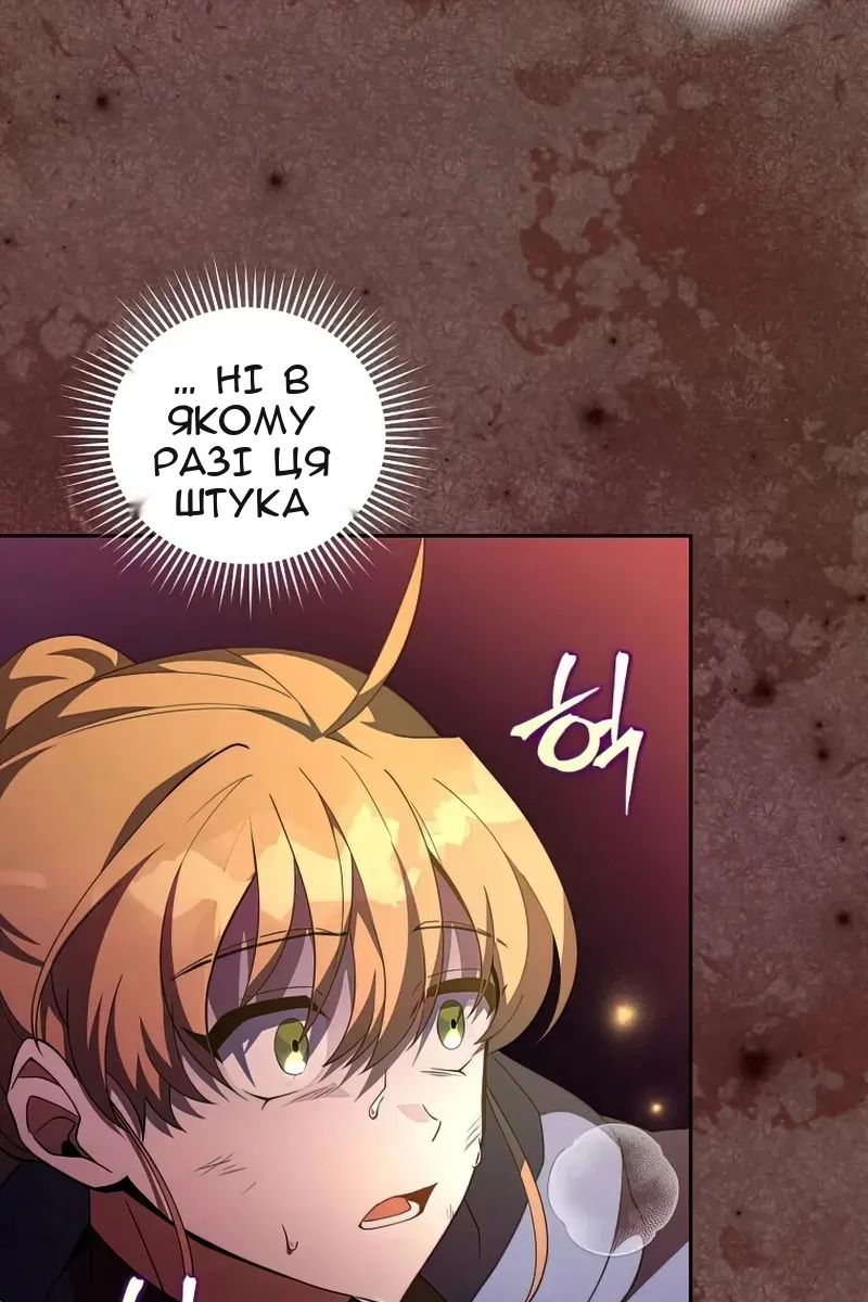 Сторінка 17