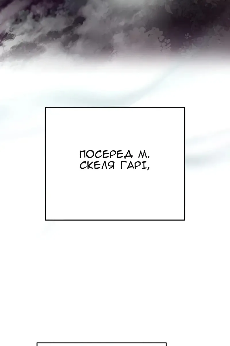 Сторінка 29