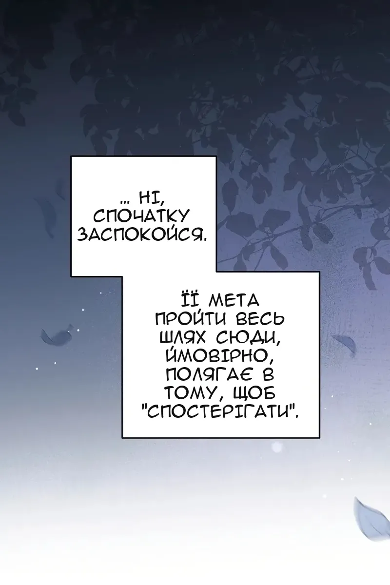 Сторінка 31