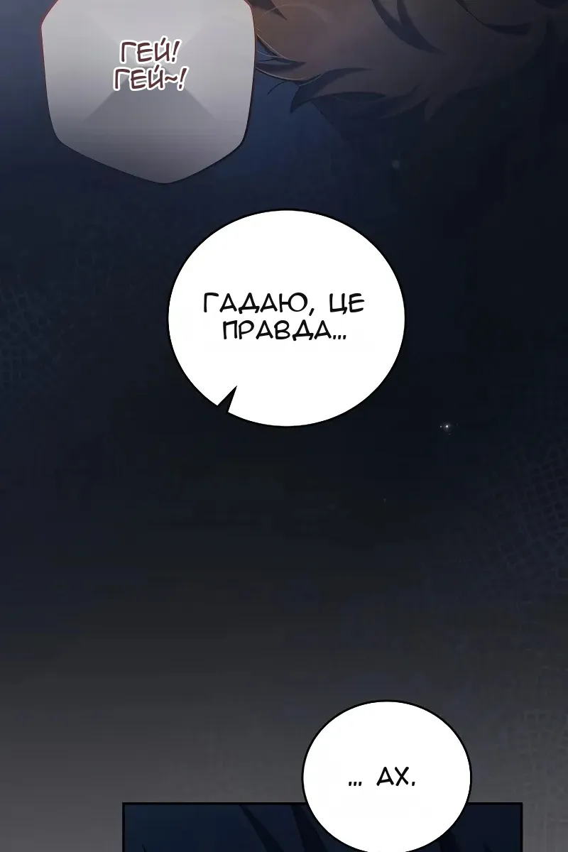Сторінка 27