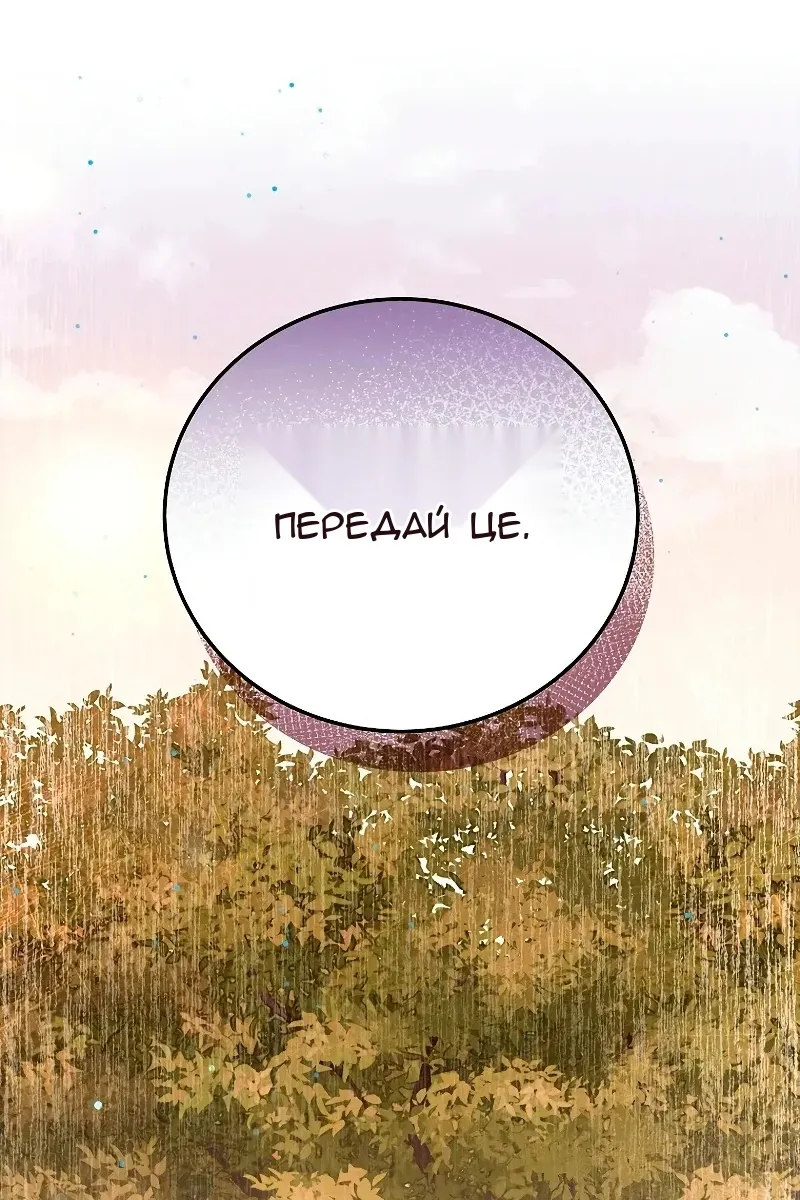 Сторінка 26