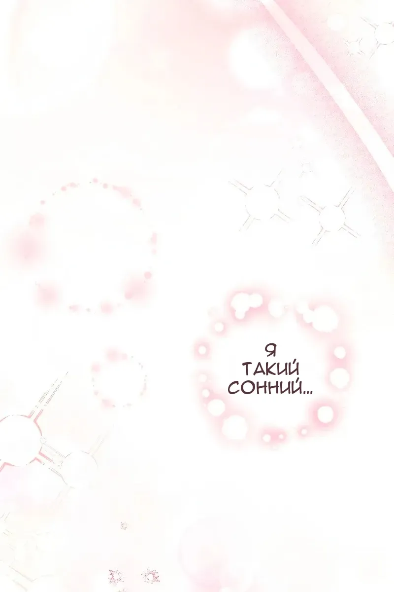 Сторінка 113