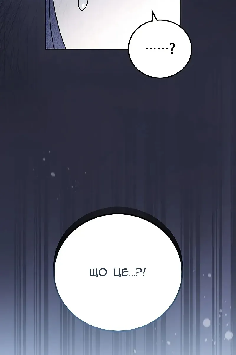 Сторінка 121