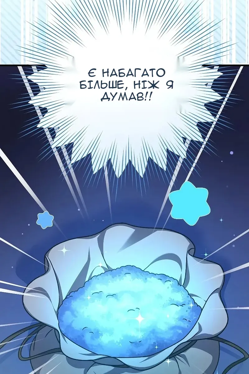 Сторінка 17