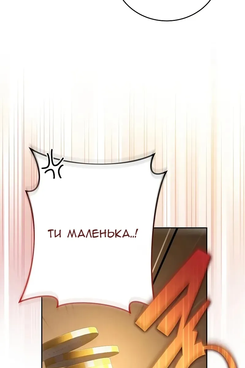 Сторінка 17