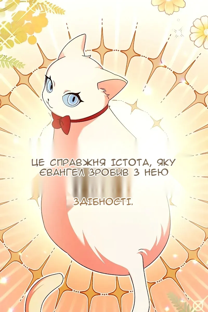 Сторінка 12