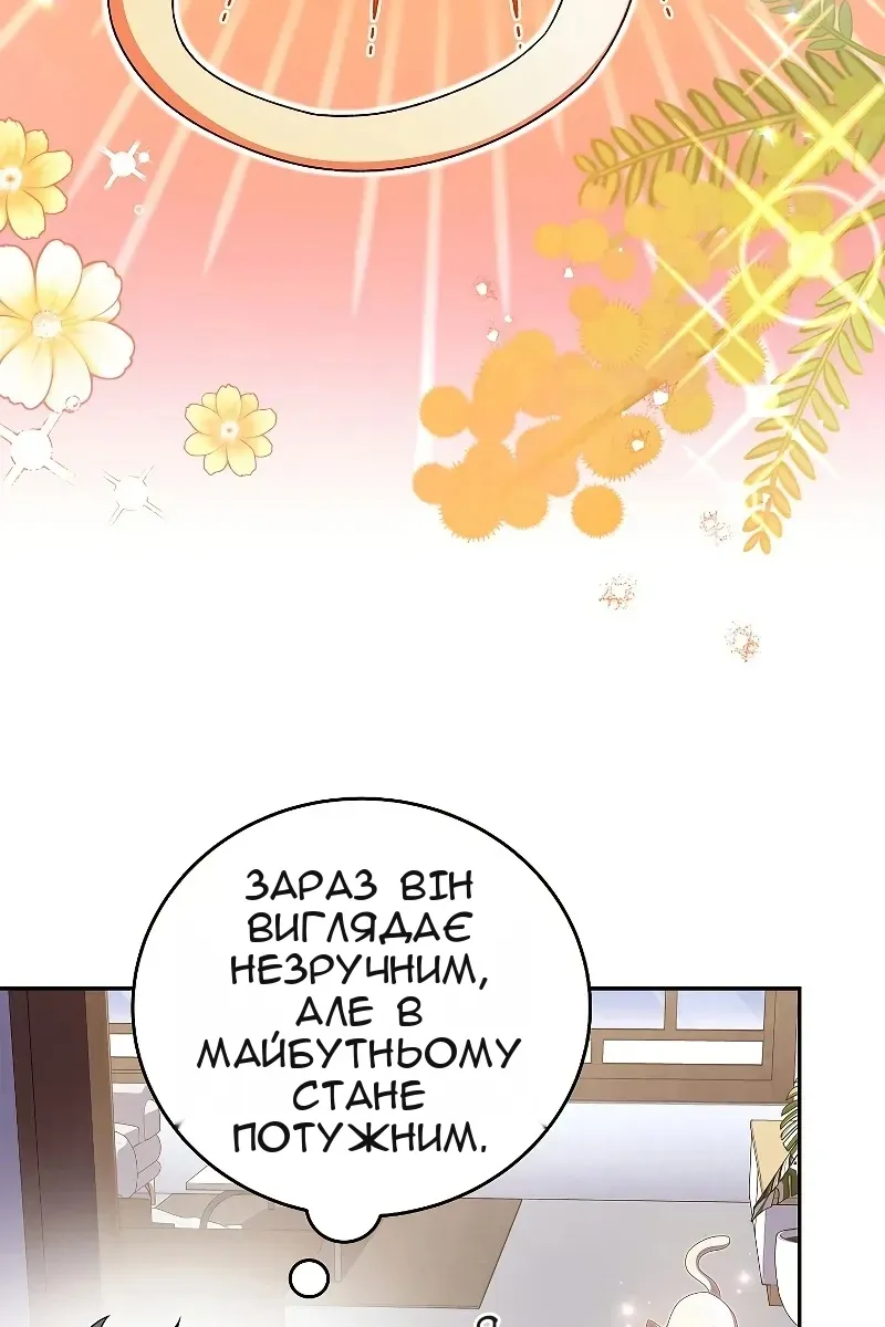 Сторінка 13