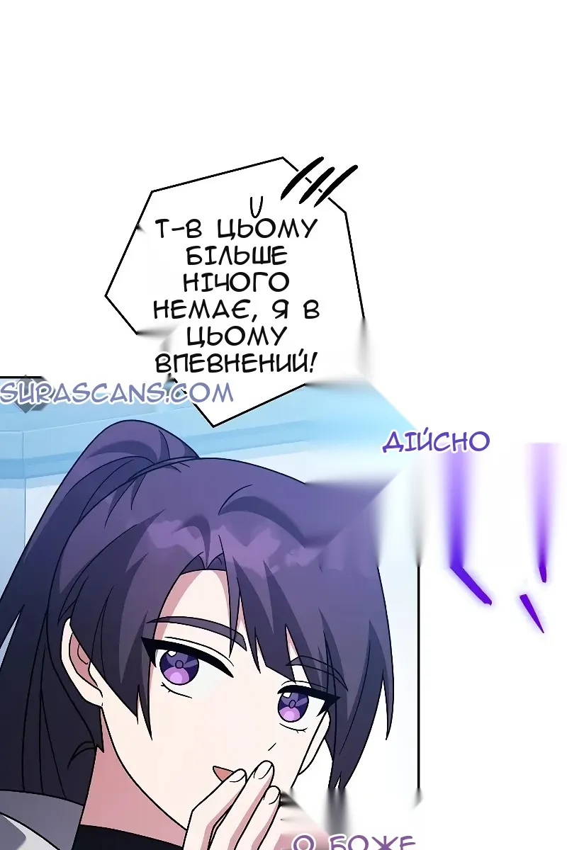 Сторінка 17