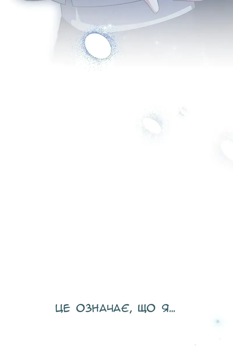 Сторінка 111
