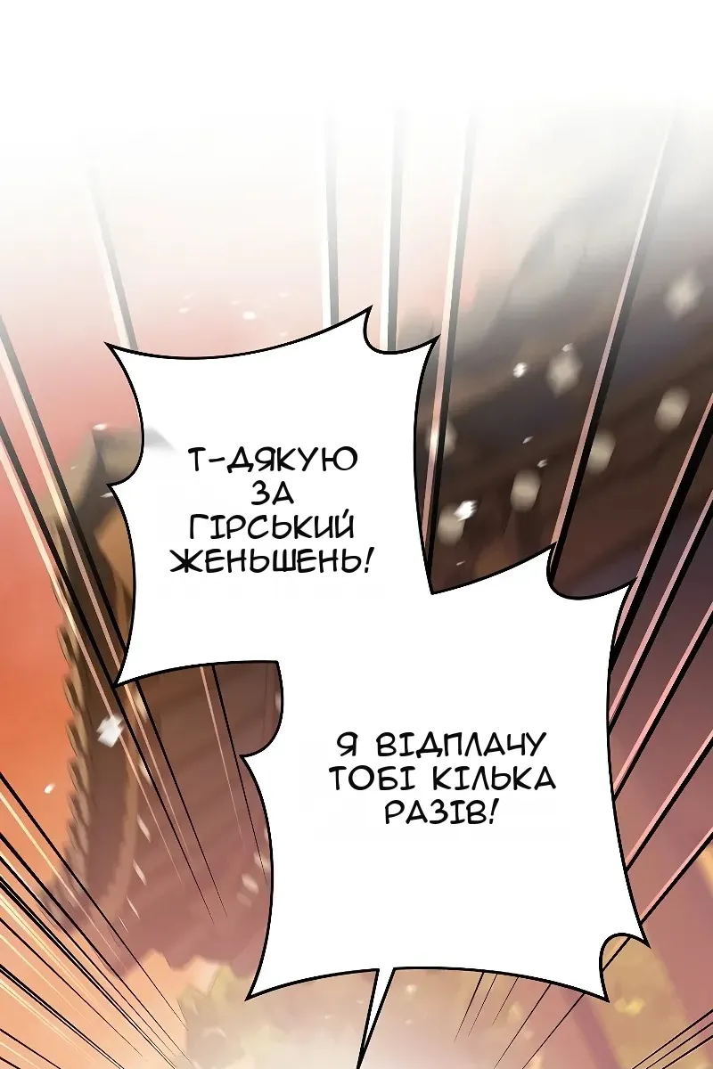 Сторінка 111