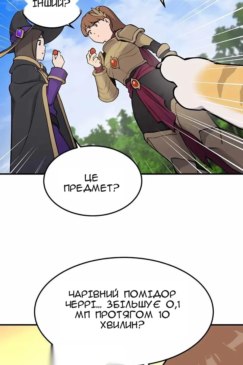 Сторінка 13