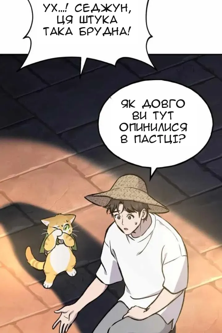 Сторінка 8