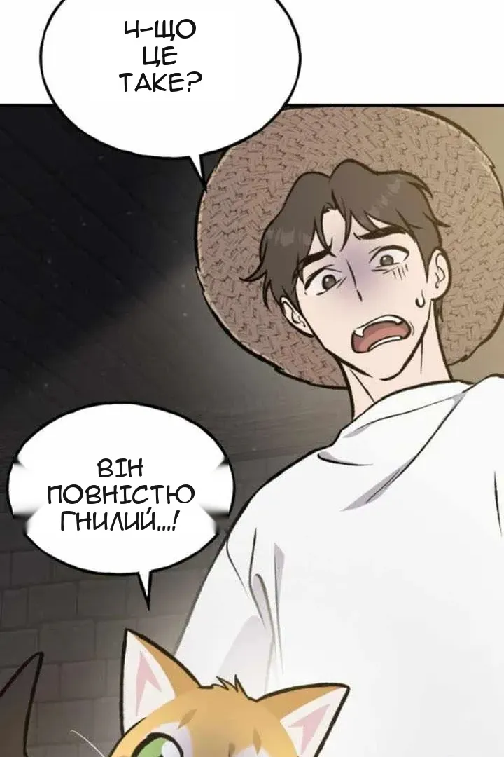 Сторінка 14