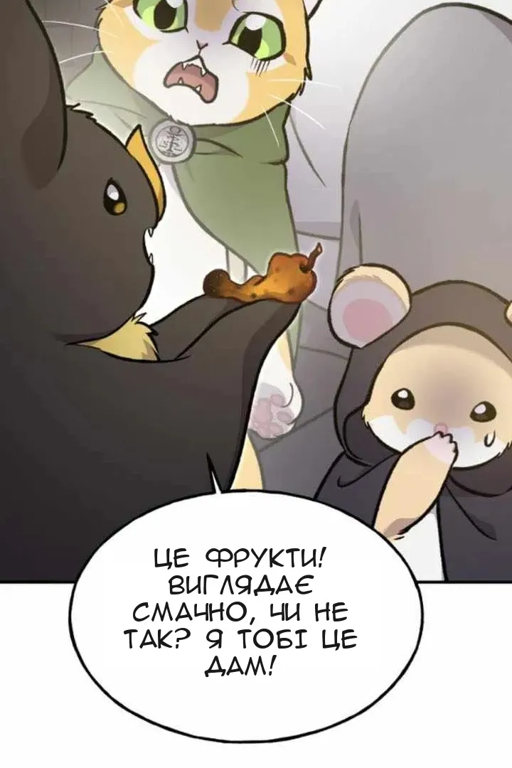 Сторінка 15