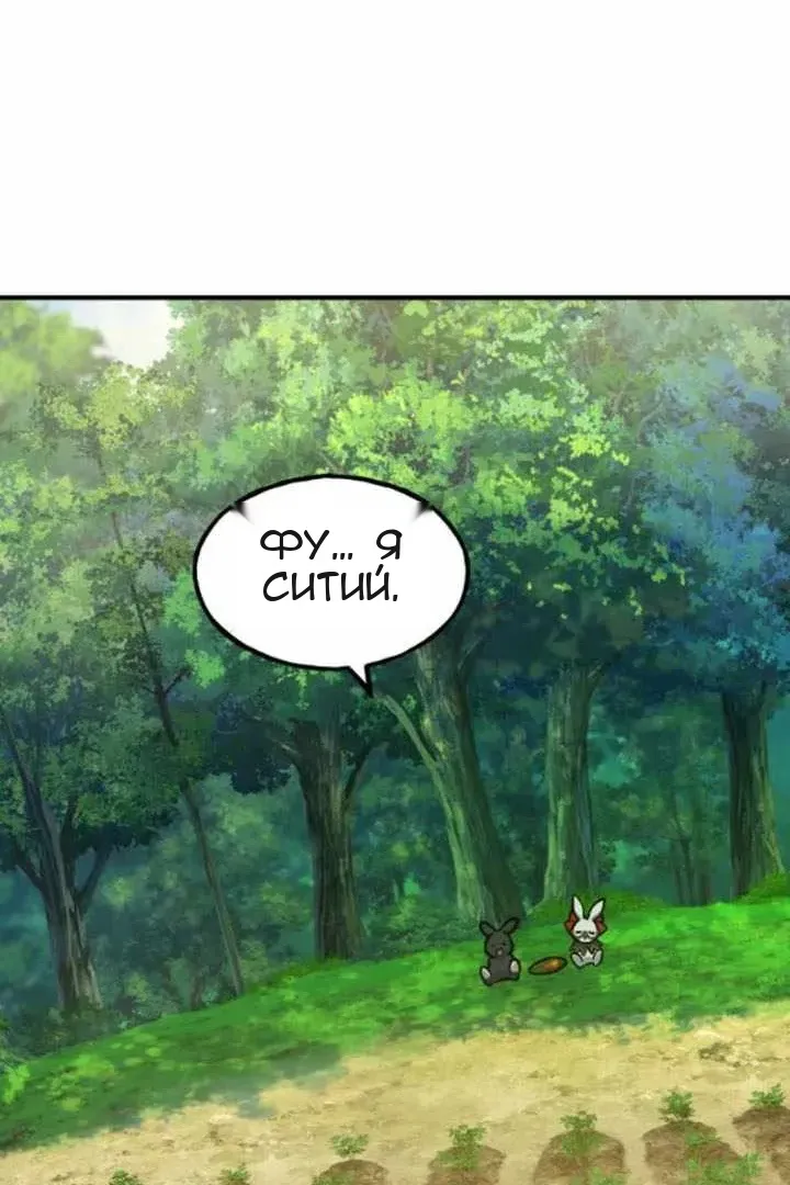 Сторінка 113