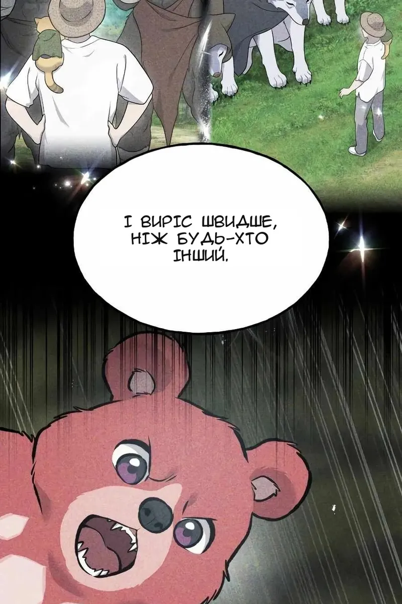 Сторінка 29