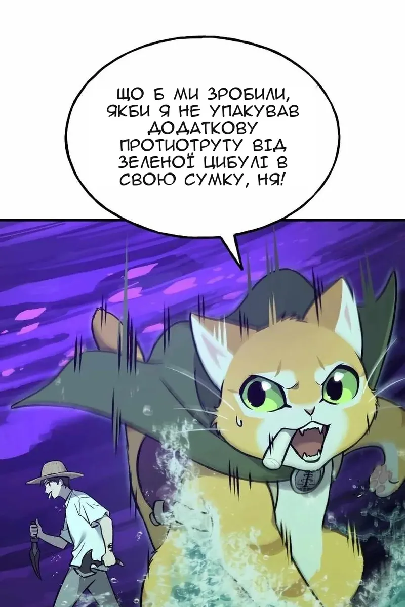Сторінка 43