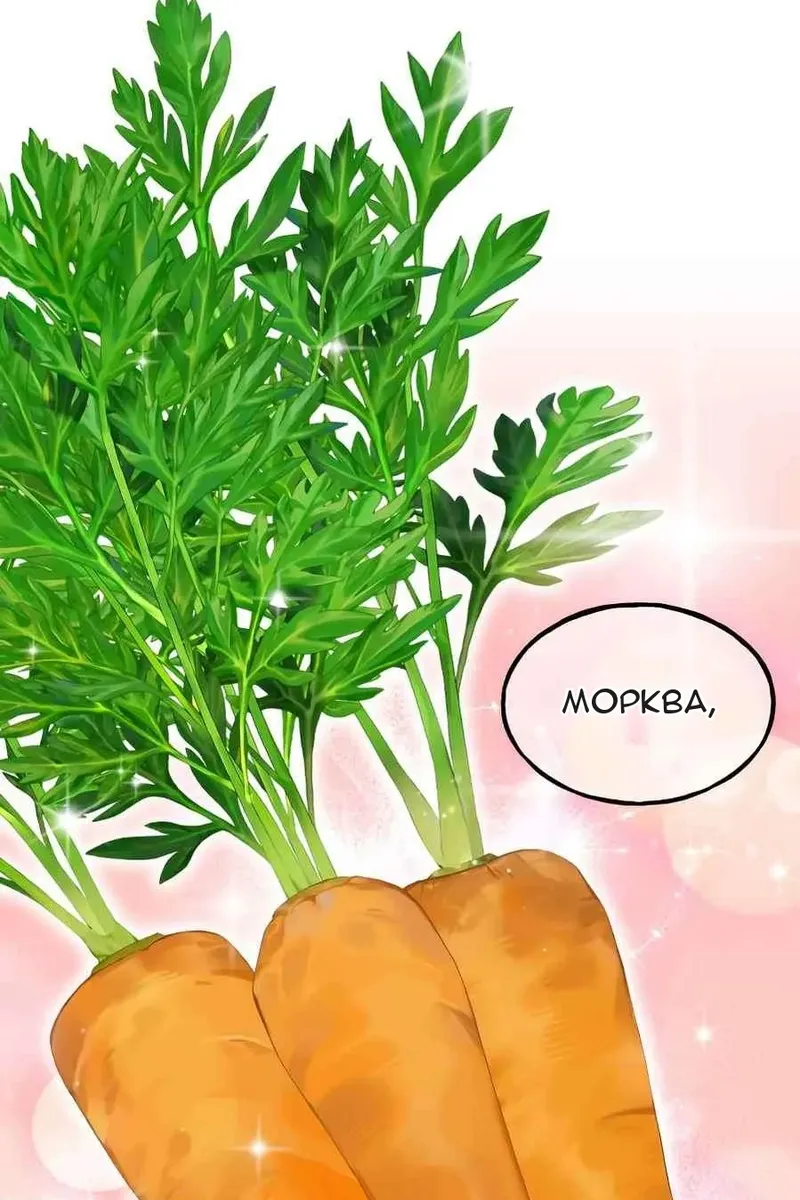 Сторінка 88