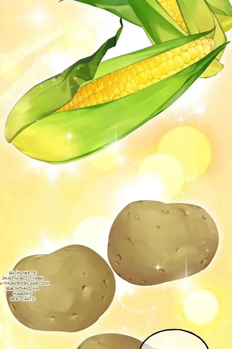 Сторінка 92
