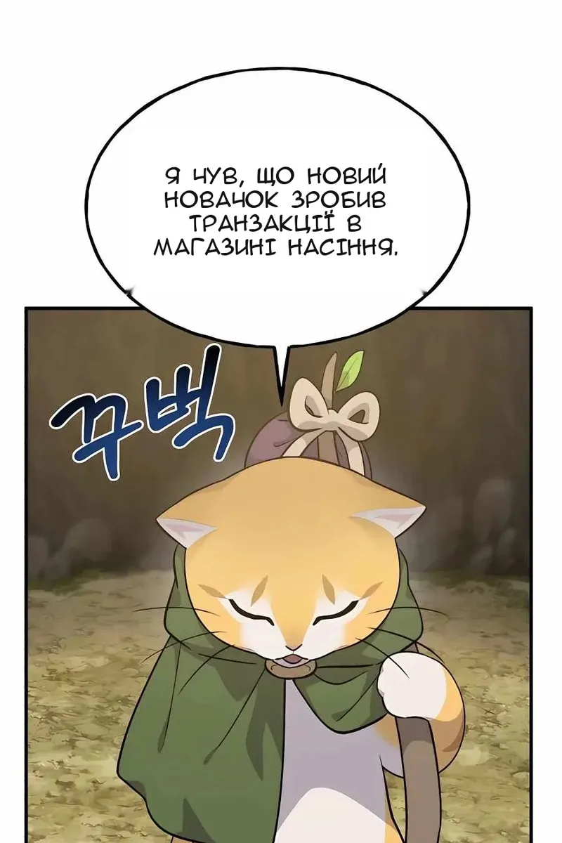 Сторінка 13